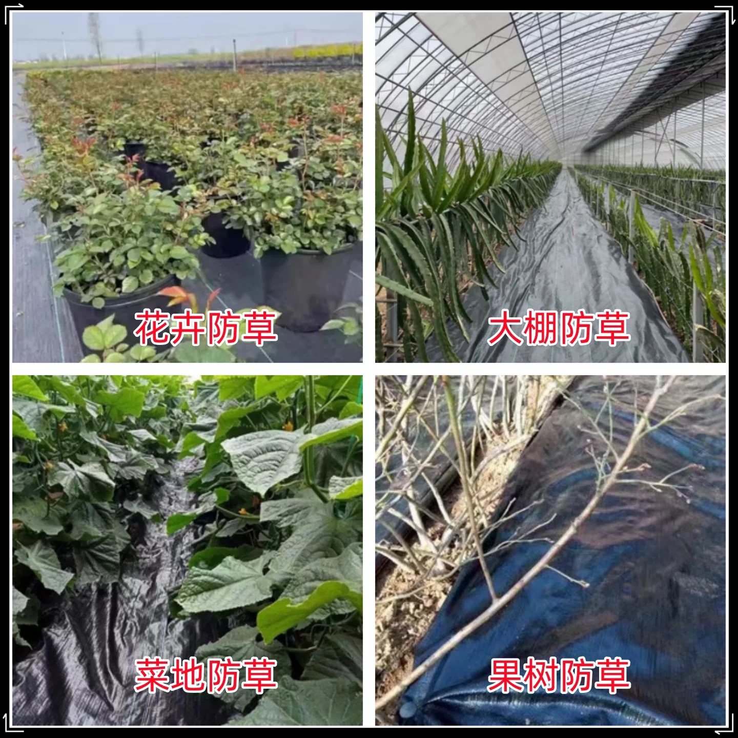 固原市防草布防草布 - 价格