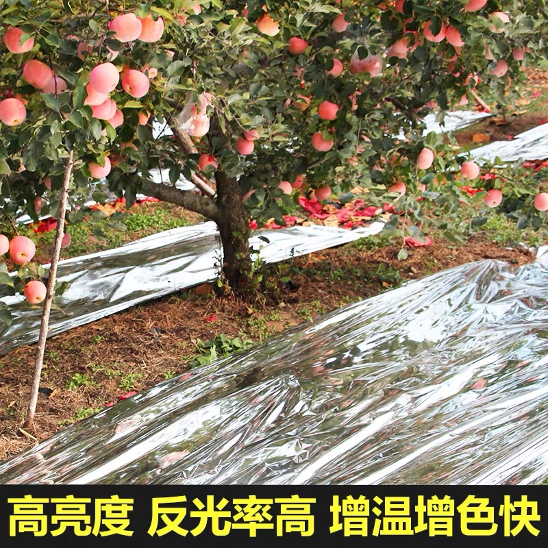 固原市果树反光膜果树反光膜 - 哪里好